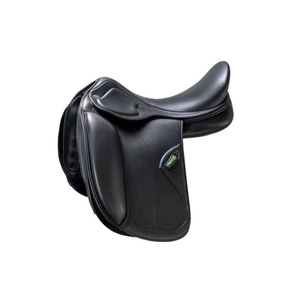 Amerigo HC Dressage
