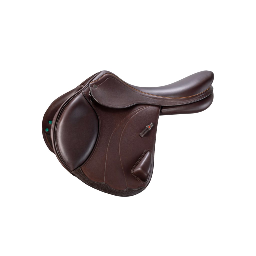 Expression Jump Saddle