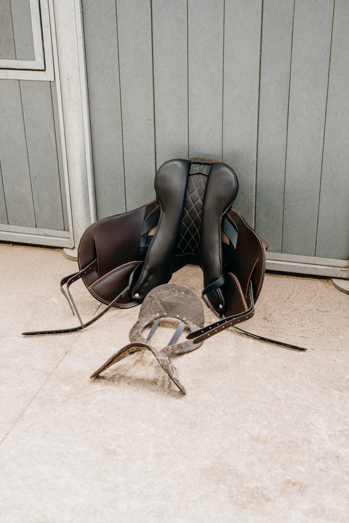 Performance Savannah Jump