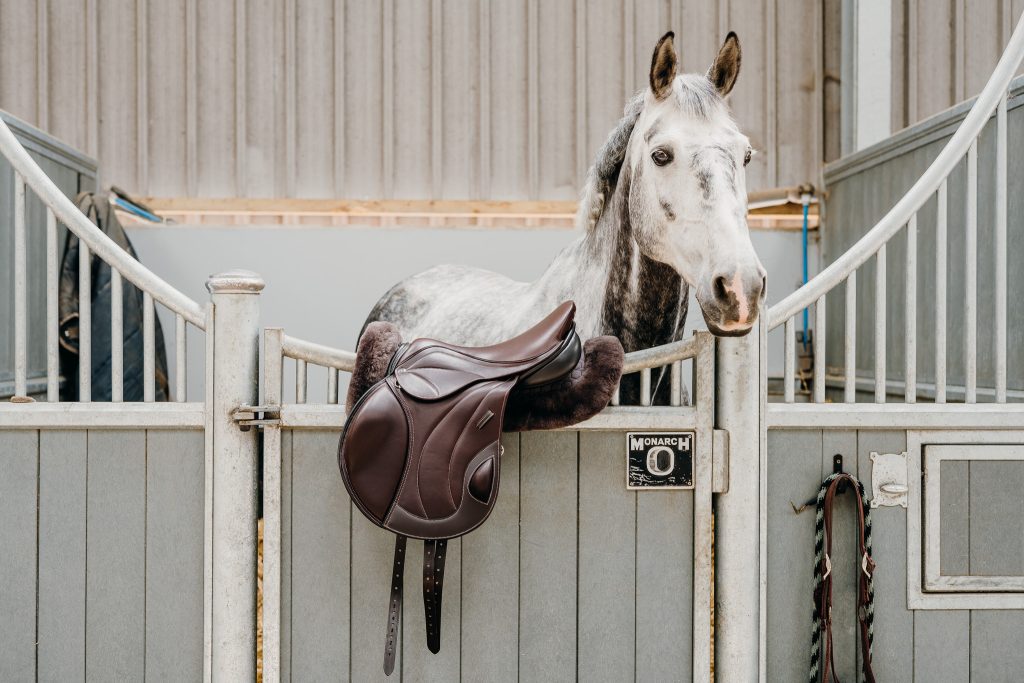 Performance Pheonix Jump