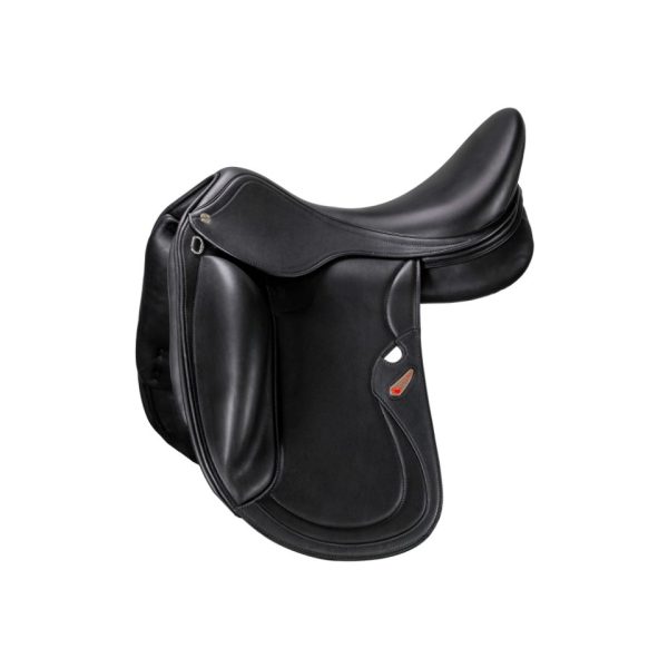 Equipe Elizabeth Dressage