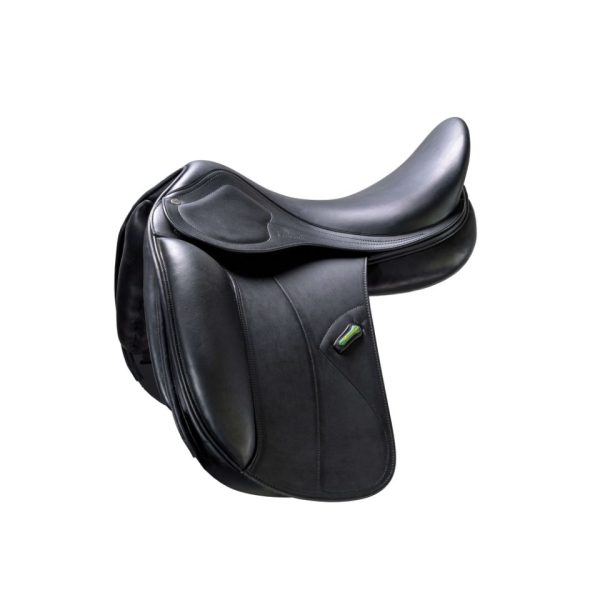 Amerigo Cortina Dressage