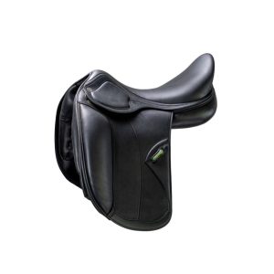 Amerigo Pasubio Dressage