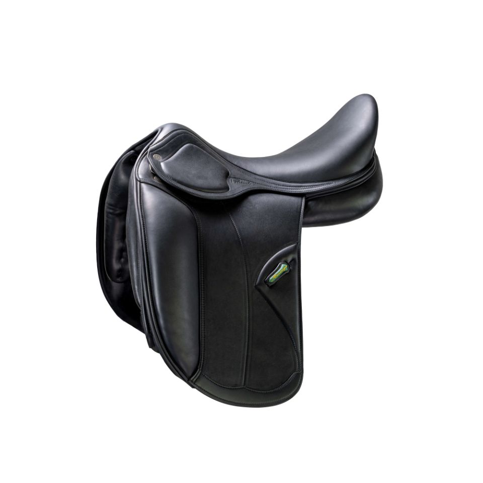 Amerigo Pasubio Dressage