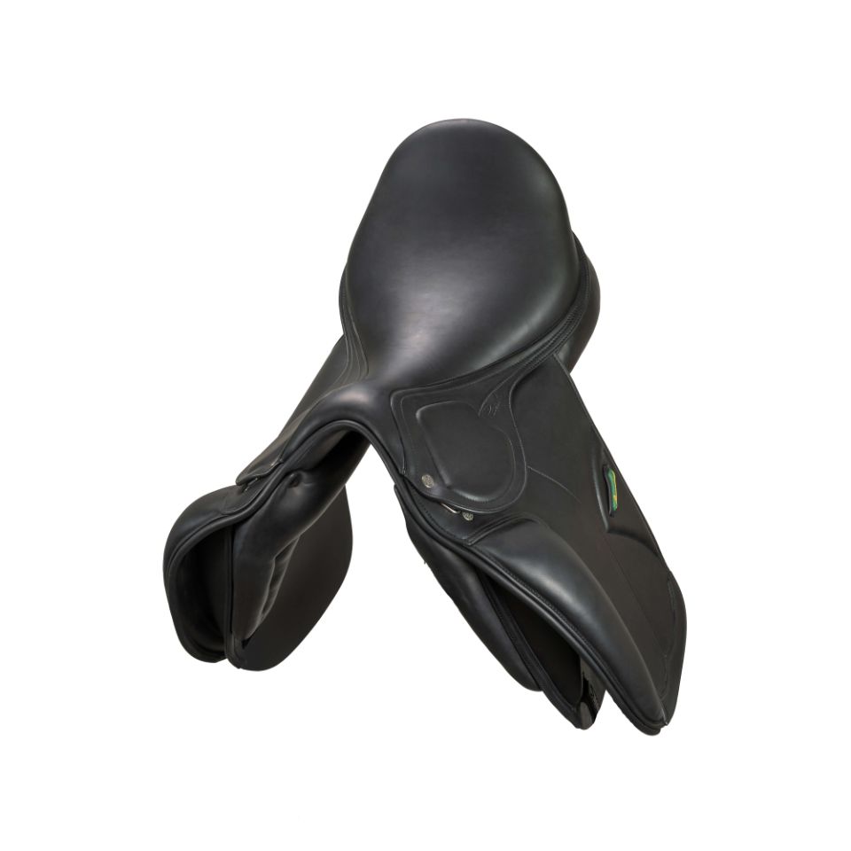 Amerigo Pasubio Dressage - Image 2