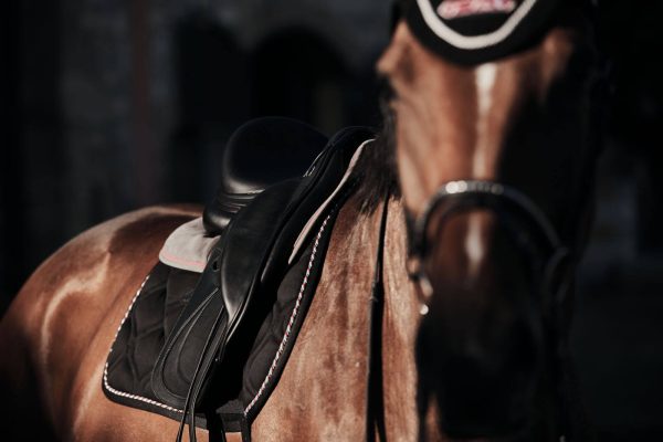 Performance Pheonix Dressage