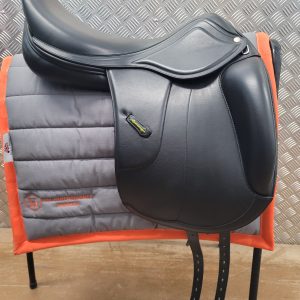 Amerigo Vega Dressage £1800.00